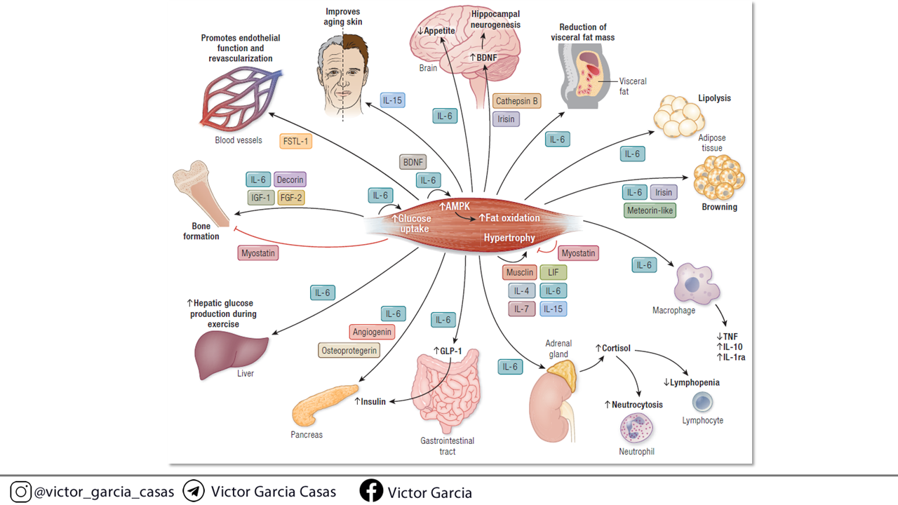 Diapositiva6 (1)